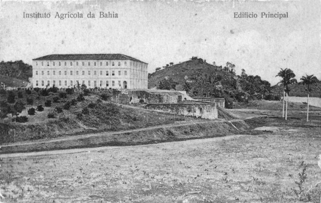 Instituto Agrícola da Bahia, início do século XX